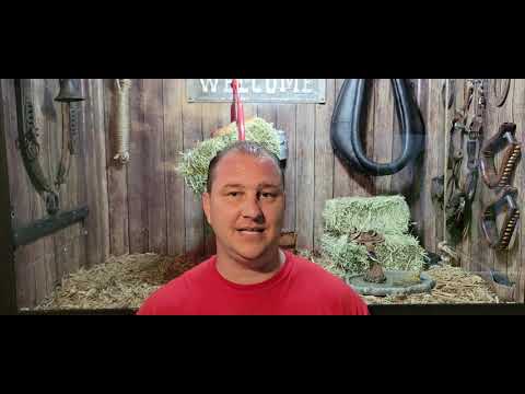 Do NOT buy heat rocks for your Reptile