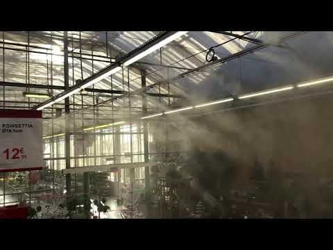 Pourquoi un brumisateur BrumExpert et pas un autre pour humidifier votre serre tropicale ?