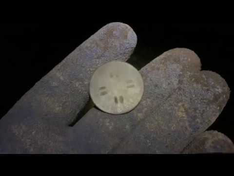 Sondeln im Moor mit Silber von 1629