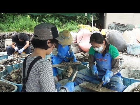 東日本大震災シリーズ31　5年目のボランティア～震災被災地 宮城・石巻～