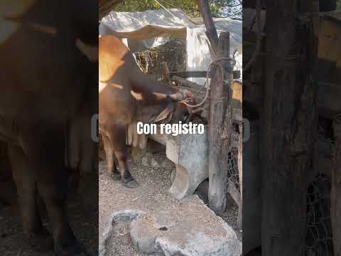 8 de Enero 2026 está en Jocoro Morazán