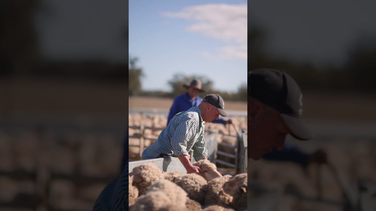 Haddon Rig technology short video