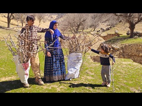 Planting for Tomorrow! 🌱 Kamal and Halimeh Bring New Life to the Mountain Farm 🏔️✨