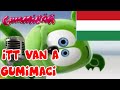 Itt Van A Gumimaci Full Hungarian Version The Gummy Bear Song Gummibär Gumimaci