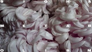 Sigha - Morning Star [TOKEN70LP]