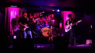 The Anchovys - The Lone Surfer