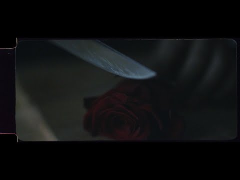 A Király Halott - Árván maradt gondolat (Official Music Video)