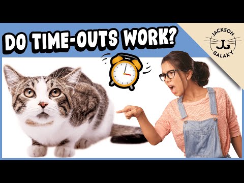 Cat Time-Outs:  Effective or Cruel?