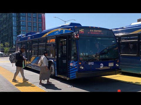 Q6 Bus