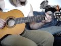 Eye of the Tiger (Survivor) - acoustic fingerstyle ...