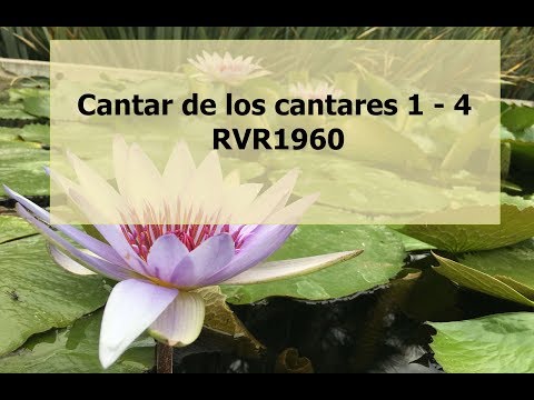 La Biblia hablada/ Cantares 1 - 4