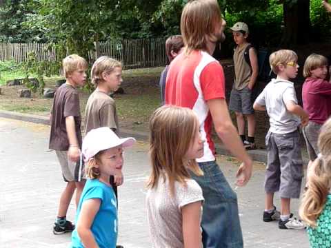 De schooldans 2009 - 2010