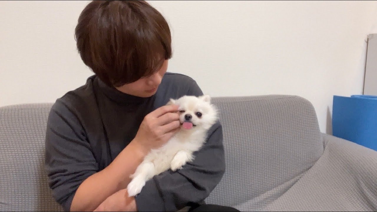 ペコが元気になりました！視聴者の皆様、本当にありがとうございました！