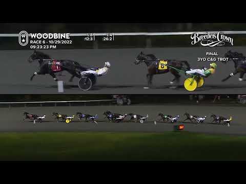 2022 Breeders Crown - 3YO Colt Trot Final