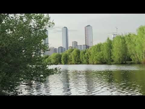 Обзор смартфона TECNO CAMON 40 Pro 5G: искусственный интеллект круче, чем у флагманов / Смартфоны