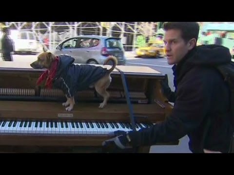 Traveling piano man finds dream performing in the streets