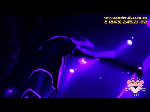 Розовая пантера - Необычное яркое шоу от LaserMan! тел  245 21 92