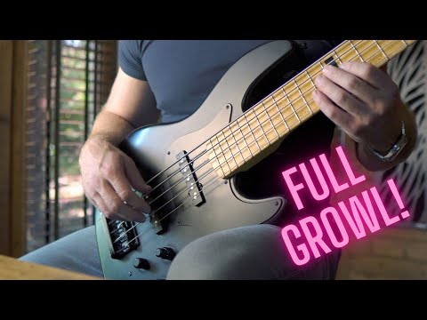 The Power of East & Bartolini III (back pickup)