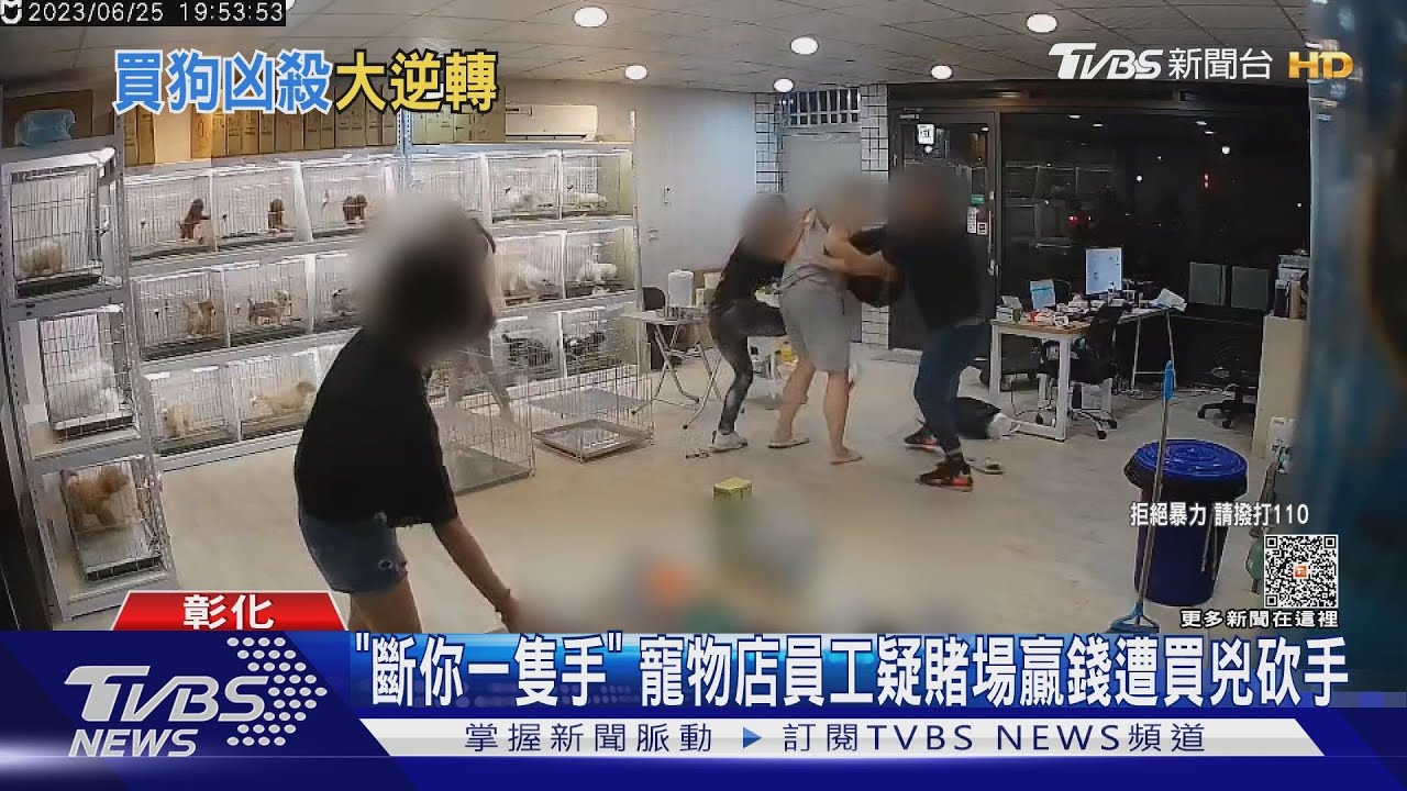 「斷你一隻手」 寵物店員工疑賭場贏錢遭買兇砍手