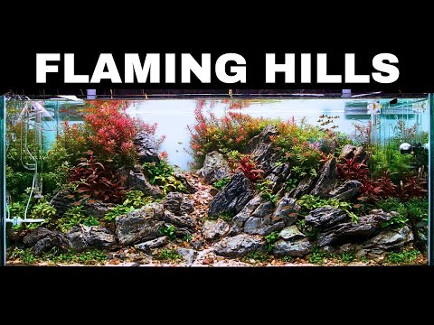 Epic 4ft Aquarium Build For GLOWING Fish! Aquascape Tutorial