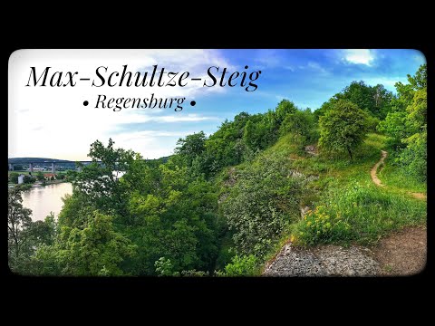Max Schultze Steig, Regensburg