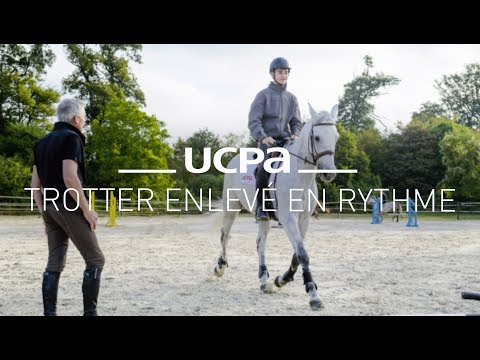 Tutos équitation #5 - Trotter enlevé en rythme