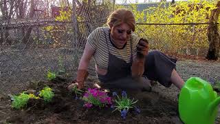 Violencia Exclamation Point - Falling - Fever Ray
