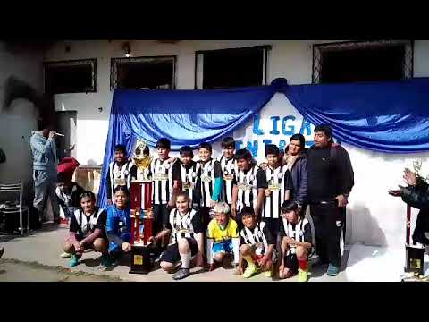 El PORVENIR(Pichanal Salta)                               Campeón categorías 2010/11 2014/15