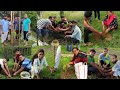 Tree Plantation By Our Society Andal Swami Vivekananda Education And Social Welfare Society