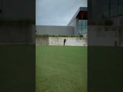 Sad dog #sad #fy #memes