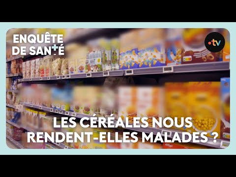Raffinées ou complètes, avec ou sans gluten : quelles céréales pour préserver sa santé ?