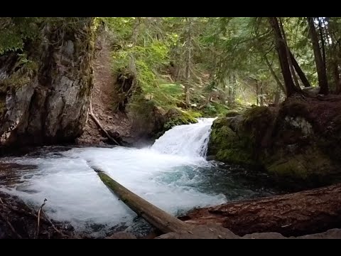 RAD DISC. E14 Old Spring Creek