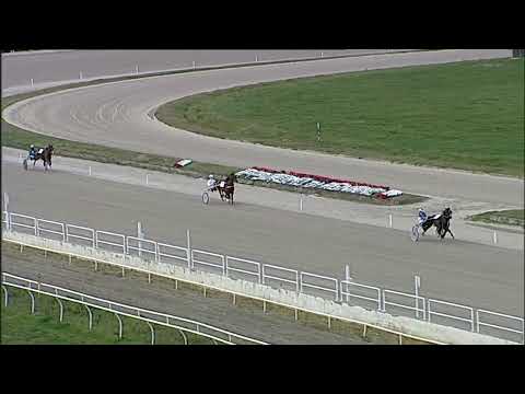 Napoli Trotto 03/03/2023 - prova di qualifica