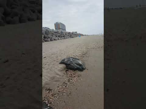 Distrito de Westerland 2020