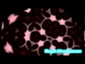 Cameren N D DG DF SXV V Snoname