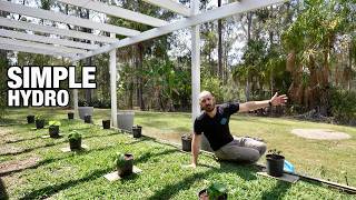 The Simplest Hydroponic System: Drain to Waste