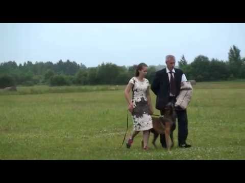 Mari's and Aivo's wedding ceremony 18.07.15.