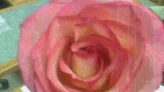 Luis Eduardo Aute- Ella baila sola_0001.wmv