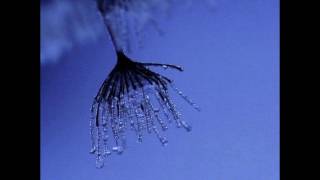 Carbon Based Lifeforms : Betula Pendula / Init