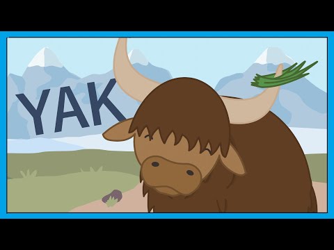 Yak Song - Fun Animal Song For Kids │ Smiley Rhymes