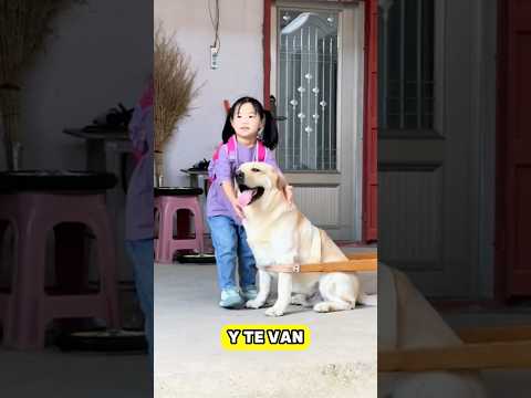 ¡Mi perro me viene a recoger a la escuela!