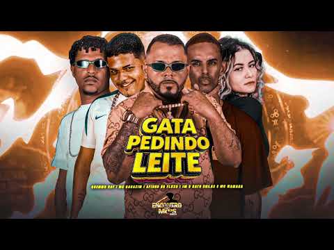 GATA PEDINDO LEITE - AFINHO DO FLUXO, MC CAUZIM, MC GUINHO RDF, JM RATO DELAS, MC NAHARA