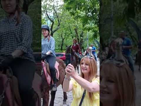 2 raduno equestre 🐎 serino (AV) organizzatori (Salvatore De Luca) e (Gaetano Alfieri)