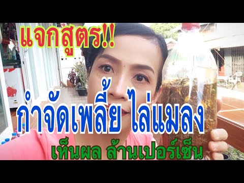 ผู้หญิงตื่นเต้นเป็นเรื่องราว Activators สำหรับวิดีโอการกระทำผู้หญิง