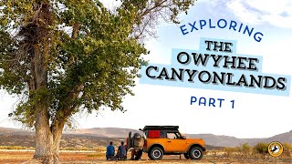 Oregon’s Owyhee Canyonlands - Jordan Craters and Birch Creek Ranch
