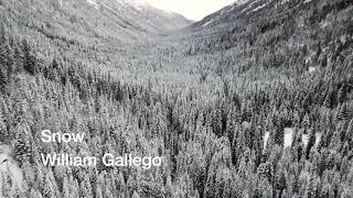 Snow (Instrumental) - William Gallego