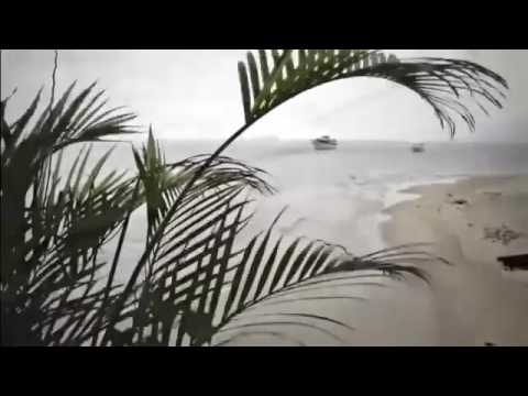 Hino 208 CCB - VIOLINO (JAIME JORGE)