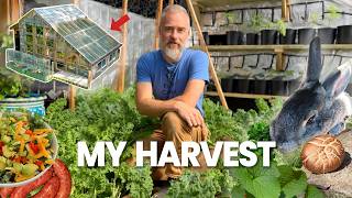 Backyard Harvest: What’s in Season? (Feb/March)