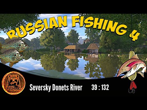 Seversky donets river - pumpkinseed sunfish