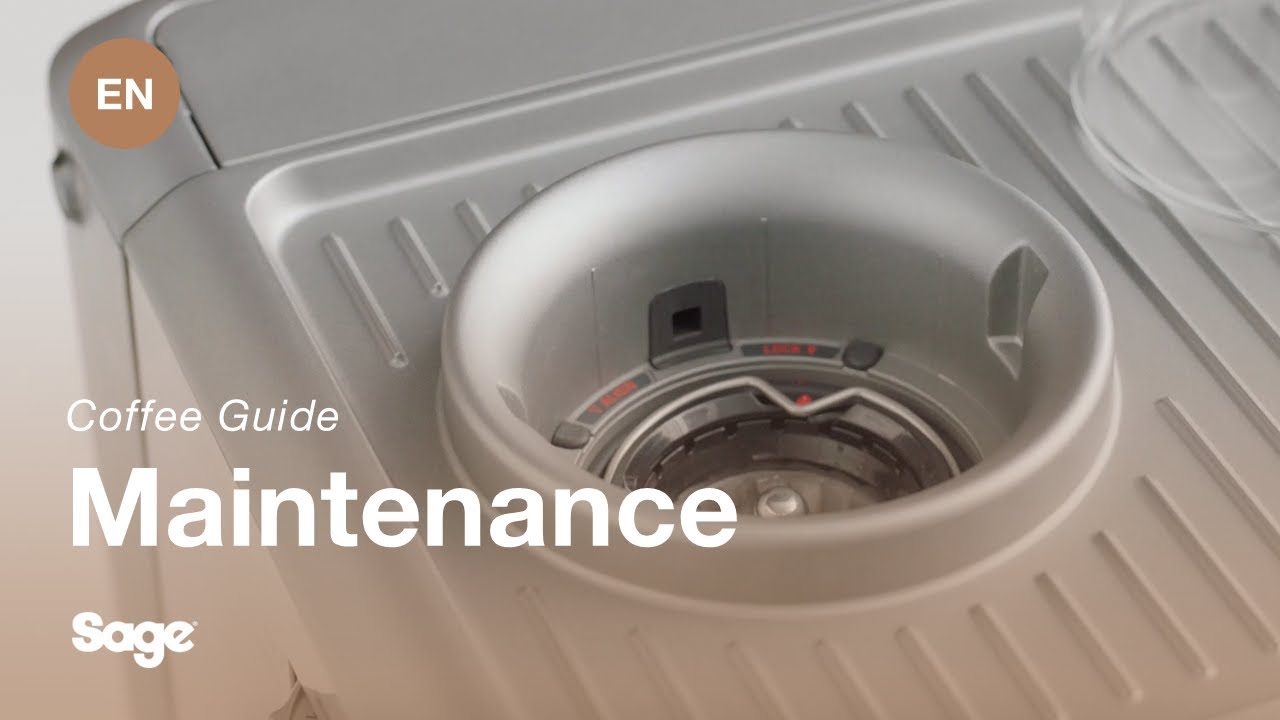 Så här rengör du kvarnens koniska kvarnar